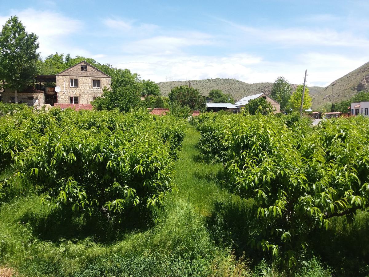 Areni Tavern-B&B Bagian luar foto